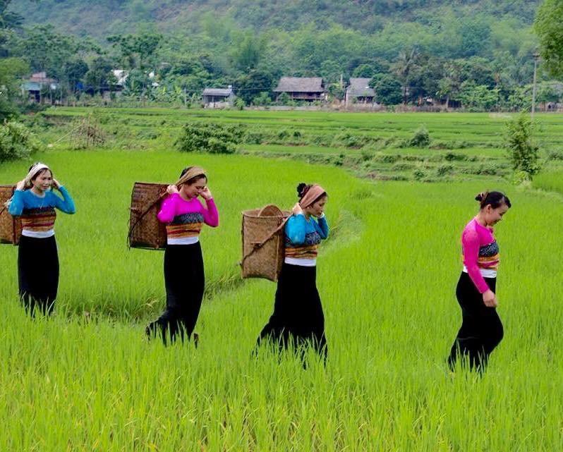 Lu'S Homestay Mai Chau Eksteriør billede